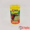 tropical-guppy