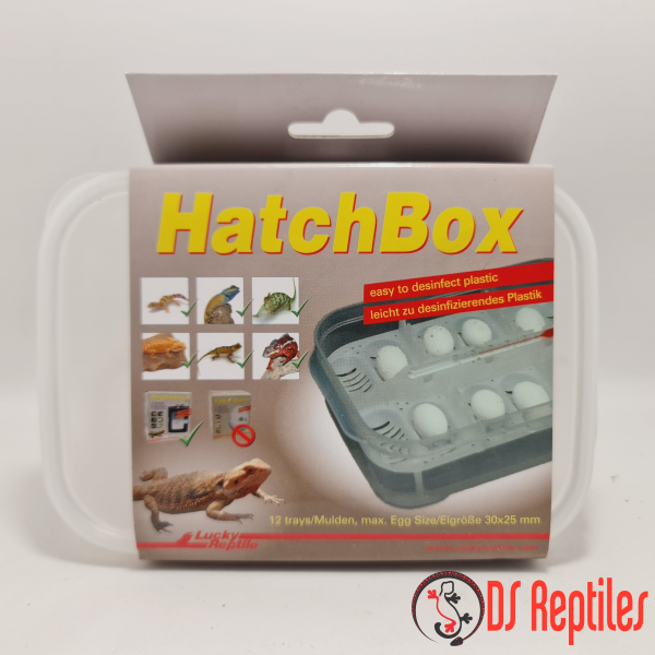 Lucky reptile hatch box